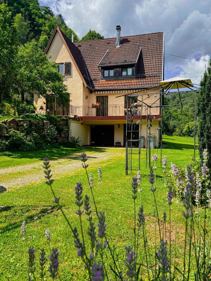 La Araucania, 2 Personnes - Wifi Rombach-le-Franc Eksteriør billede